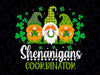 Shenanigans Coordinator Gnome Svg, Irish Shamrock Patricks Day Svg, Patrick's Day Png, Digital Download