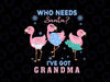 Who Needs Santa I've Got Grandma SVG, Kid's Christmas SVG, Grandma SVG, Kid's Christmas Design, dxf, eps, png, Vinyl Cutting File, Kids svg