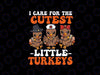 I Care For The Cutest Little Turkeys Thanksgiving Fall Nurse Svg, Thanksgiving Png, Digital Download