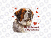 PNG ONLY My Saint Bernard Is My Valentine Png, Cute Dog Owner Valentines Day Png, Digital Download