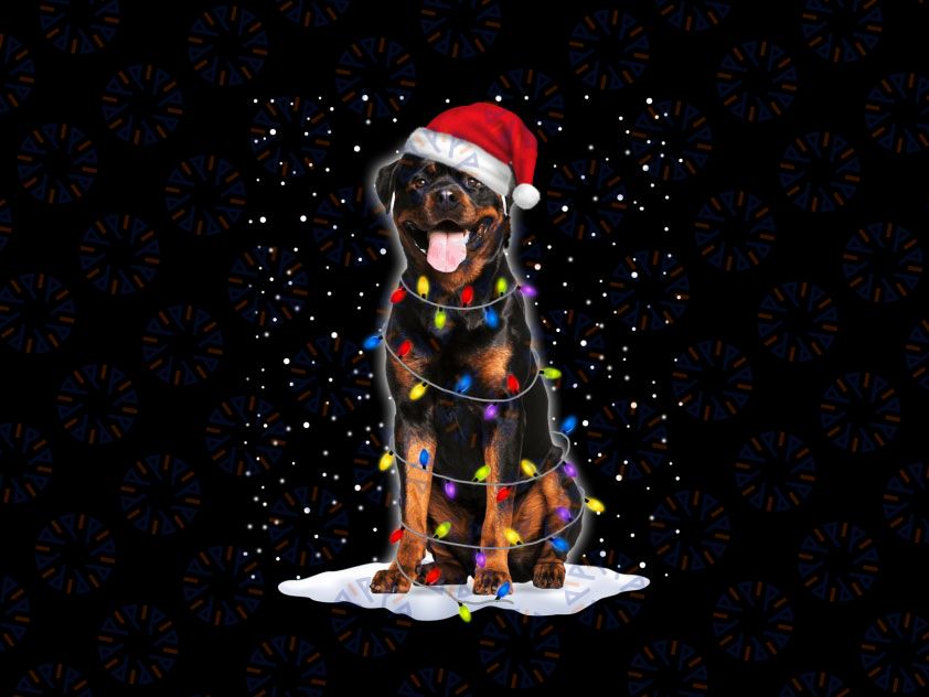 Rottweiler Santa Christmas Tree Lights Xmas Gifts PNG, Rottweiler ugly Christmas png, Rottweiler lover, Christmas Gift Png Sublimation