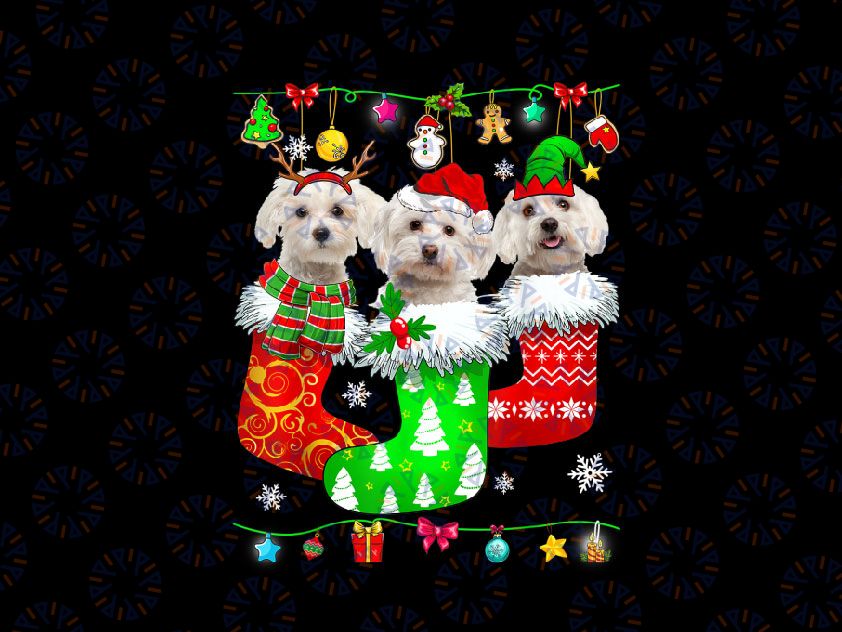 Christmas Socks Pajama Maltese Dog Puppy PNG, Maltese Dog, Funny Christmas Png, Gift for Dog Lovers Png Sublimation