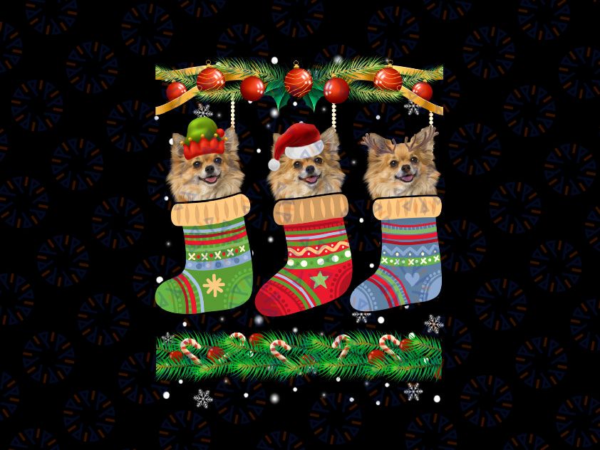 Christmas Pajama Chihuahua Dog PNG, Puppy Lover Xmas Socks Png, Chihuahua Christmas Png Chihuahua Gift Animal Png