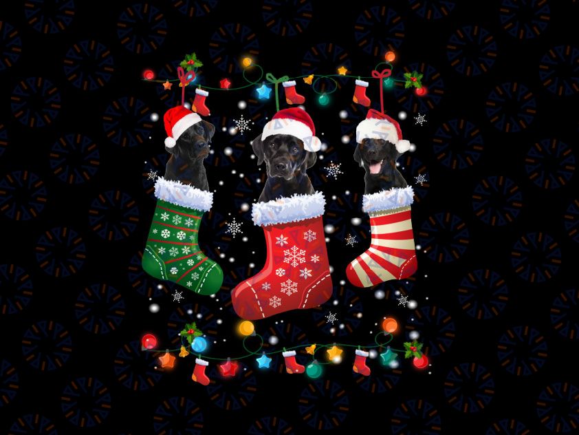 Black Lab Labrador Christmas Socks PNG, Funny Xmas Pajama Dog Png, Labrador Christmas, Lab Lover, Christmas Gift, Dog Christmas