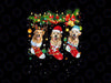 Golden Retriever Christmas Socks Pajama PNG, Xmas Dog Lover Gift Png, Christmas Golden Retriever Png, Christmas Gift, Dog Christmas