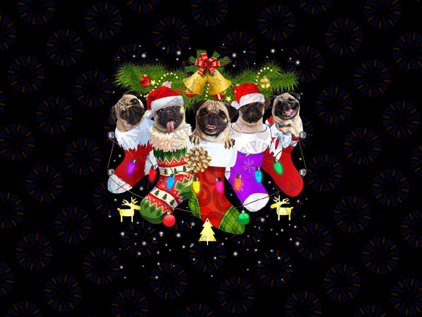 Santa Pugs in Christmas Socks PNG, Funny Xmas Dog Lover Png, Pug Mom Png, Christmas Pug, Pug In Santa Hat, Christmas Shirts For Family