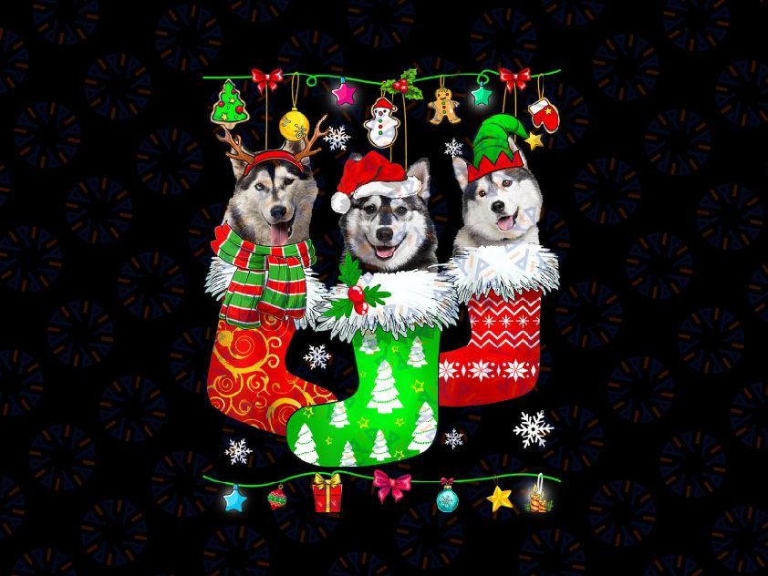 Christmas Socks Pajama Siberian Husky Dog Puppy Lover PNG, Christmas Husky, Husky In Santa Hat, Christmas Shirts For Family