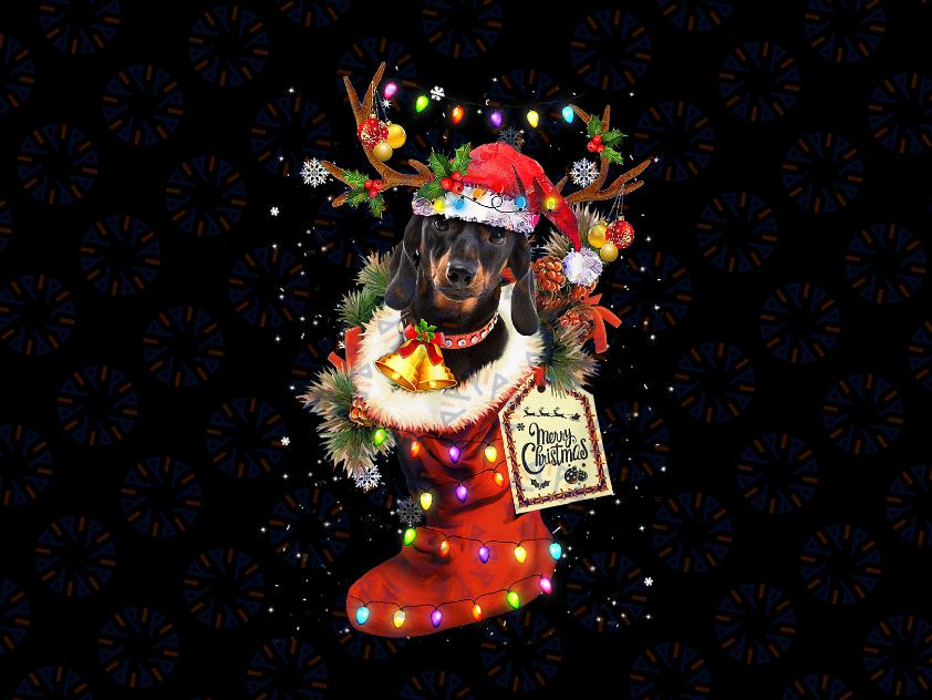 Funny Dachshund Dog In Christmas Sock PNG, Santa Hat Xmas Dog Png, Dog Christmas Png Gift, Dachshund, Sausage Dog Png