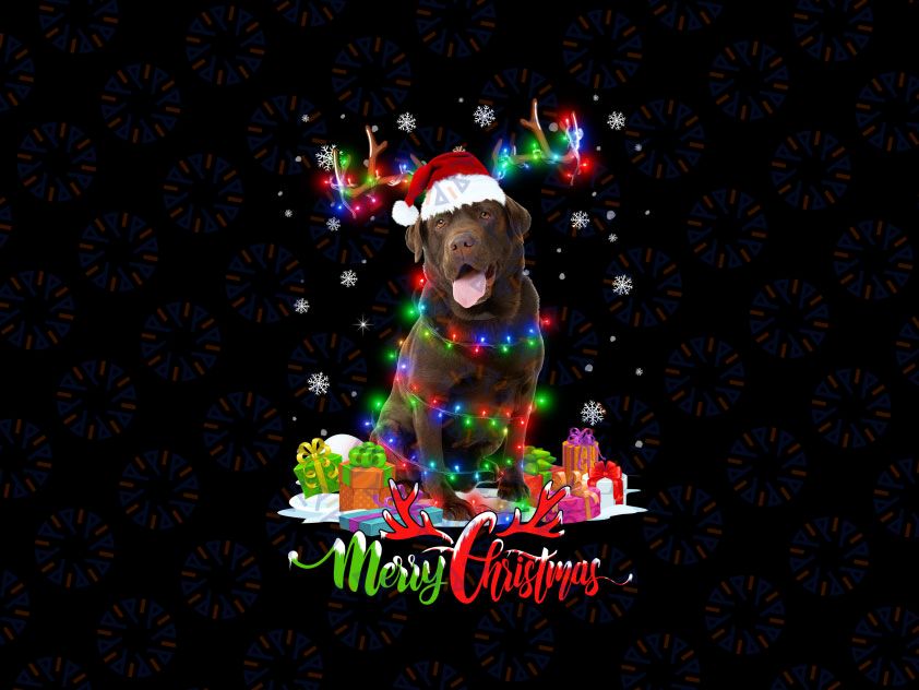 Funny Chocolate Lab Dog Merry Christmas PNG, Labrador Retriever Gift, Merry Christmas, Chocolate Lab, Labrador Christmas, Christmas Png