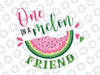 One in a Melon Friend First Birthday Png, Pink Watermelon Party Png, Family Png, Family Birthday Png, One In A Melon Png