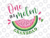 One in a Melon Granddad First Birthday Png, Pink Watermelon Party Png, Family Png, Family Birthday Png, One In A Melon Png