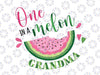 One in a Melon Grandma First Birthday Png, Pink Watermelon Party Png, Family Png, Family Birthday Png, One In A Melon Png