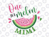 One in a Melon Mimi First Birthday Png, Pink Watermelon Party Png, Family Png, Family Birthday Png, One In A Melon Png