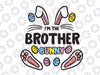 Brother Bunny Rabbit Easter Svg, Brother Bunny Svg, Png, Easter Svg, Bunny Ears Svg, Easter Bunny Svg, Easter Quote Svg, Silhouette, Cricut Cut File