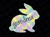 Grandma Bunny Rabbit Pastel Plaid Png, Grandma Easter Png, Easter Png, Grandma Bunny Png, Easter Bunny Png, Gift For Grandma , Easter Gift