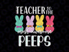 Easter Svg, Teacher Of The Most Awesome Peeps Svg, Easter Teacher Svg, Peeps Svg, Funny Easter svg, Teacher svg, Easter school svg
