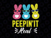 Peepin It Real Svg, Happy Easter Svg, Bunny Egg Hunt Svg, Easter SVG, Peeps SVG, Svg Files for Cricut
