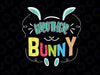 Brother Bunny Svg, Easter Svg, Brother Bunny Svg, Easter Bunny Svg, Brother Easter Tee, Easter Eggs Shirt, Easter Gift Shirt, Bunny