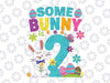 Some Bunny Is 2 Year Old Svg, Funny 2nd Birthday Easter Svg, Bunny First Birthday Svg 1st Birthday Easter Svg cricut designs