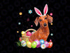 Happy Easter Cute Bunny Dachshund Wearing Bunny Ears Png, Easter Sublimation Design Download, Dachshund png Dog Printable Sublimation