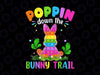 Happy Easter Day Png, Poppin Down The Bunny Trail Bunny Easter Png, Easter Pop It PNG digital download Sublimation