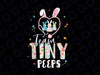 NICU Nurse Png Easter Team Tiny Png, Bunnies Stethoscope Png, Happy Easter Eggs Png, NICU Nurse Easter Png