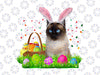Bunny Siamese Cat Funny Easter Png, Siamese Cat Lover Png, Easter Cat PNG, Instant Download Bunny sublimation, Cat design