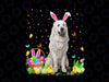 Funny Easter Egg Png, Hunting Great Pyrenees Dog Png, Dog Easter Bunny Png Sublimation Instant Download