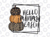 Hello Pumpkin Season Sublimation design, leopard pumpkins, fall pumpkin design, leopard pumpkin png, Fall Png Designs, Autumn Png Printing