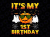 Halloween Birthday It's My 1st Birthday Png, Fall Birthday Party, Thanksgiving Birthday Png, Pupmkin Fall Kids PNG Digital