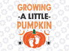 Growing Little Pumpkin Svg, Halloween Pregnancy Svg, Pregnancy Svg, Fall SVG, Fall Pregnancy SVG Digital Cut File