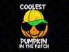 Coolest Pumpkin In The Patch Svg, Boys Halloween Svg, Dxf, Eps, Png, Fall Sayings Cut Files, Kids Thanksgiving Clip Art, Silhouette, Cricut