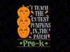 Halloween I Teach The Cutest Pumpkins In Patch Pre-K Svg, Cute Teacher Shirts Cut File, Fall Teacher Shirts Svg PNG, Cricut