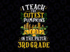 I Teach The Cutest Pumpkins In The Patch 3rd Grade Png, Teacher Png, Fall Png, Halloween, Png, Fall Sayings Png, Printable