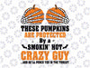 These Pumpkins Are Protected By A Smokin' Hot Svg, Funny Pumpkin Svg, Pumpkin Svg