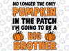 Big Brother Fall Pregnancy Announcement Svg, Halloween Quote Svg Png