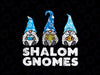 Shalom Gnomes Funny Jew Hanukkah Pajamas PNG, Chanukah Shalom Gnomes, Menorah Hanukkah, Hanukkah Jewish Holiday Gift PNG Sublimation Design