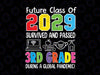 Future Class of 2029 I School Graduation Svg, First 3rd Grade Svg, I survived & Passed Pandemic Graduation Svg