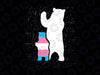 Bear Mom Transgender Pride Svg, LGBT Trans Pride Supporter Svg, Equality, LGBT, Pride, Transgender