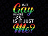 Funny Gay Pride Svg, Is It Gay In Here Or Is It Just Me Svg, Lesbian Svg, LGBT Svg, Bi Pride Svg, Transgender Svg, Pride Month
