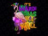 Flamingo Mardi Gras PNG, It's Mardi Gras Y'all Png, Mardi Gras PNG, Mardi Gras Mask, Flamingo Png, Sublimation Design