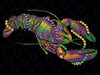 Happy Mardi Gras Crawfish Festival For Kid Man Woman Png ,Mardi Gras Png, Digital download