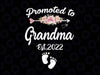 Promoted To Grandma Png, Grandma Png, Floral Png, Pregnancy Announcement, New Grandma, Blessed Grandma, Funny Grandma, Mother’s Day 2021 Png