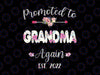 Promoted to Grandma Again 2022 Png, Mother's Day Baby Announcement Png, Grandma Again Est 2022 Png