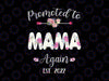Promoted to Mama Again 2022 Png, Mother's Day Baby Announcement Png, Mama Again Est 2022 Png