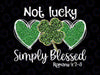 Not Lucky Just Blessed Leopard Png, Shamrock St Patrick Day Irish Png, St. Patrick’s Png, Kids St Patricks Day Png, Christian Romans Png