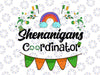 Shenanigans Coordinator PNG, St Patricks Day Png, Irish Png, Lucky Png, Drinking Png Sublimation