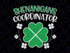 Shenanigans Coordinator Svg, Funny St Patricks Day Teacher svg, Irish svg, Lucky svg, Drinking svg