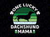 One Lucky Dachshund Mama Svg, Funny st Patrick's Day Svg, One Lucky Mama St Patricks Day Svg, Cute St Patricks Day Svg