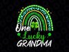 One Lucky Grandma PNG, Rainbow St Patrick's Day Leopard Design, Sublimation Designs Downloads, PNG File